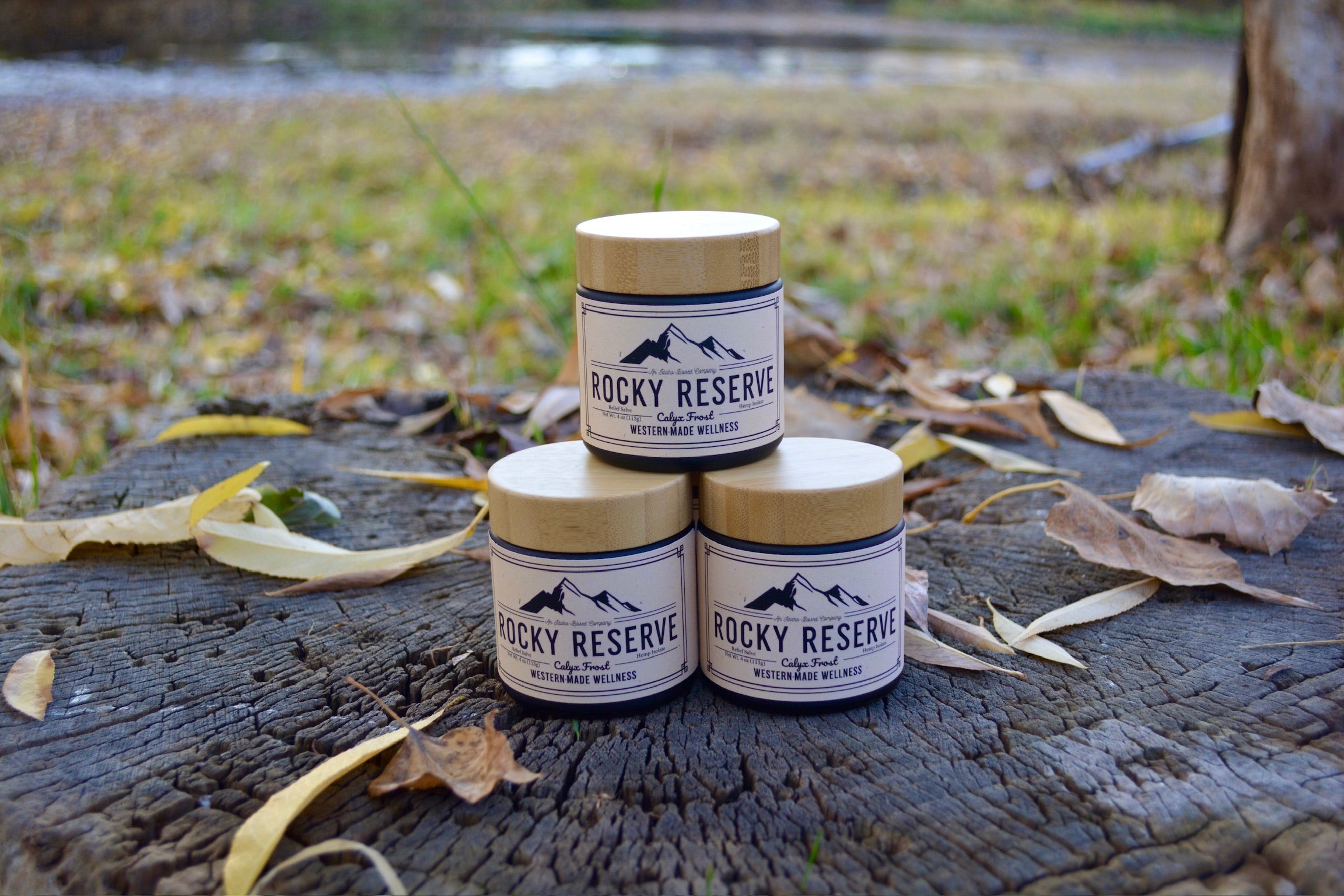 3 Herbal Relief Salves on Stump Fall Background