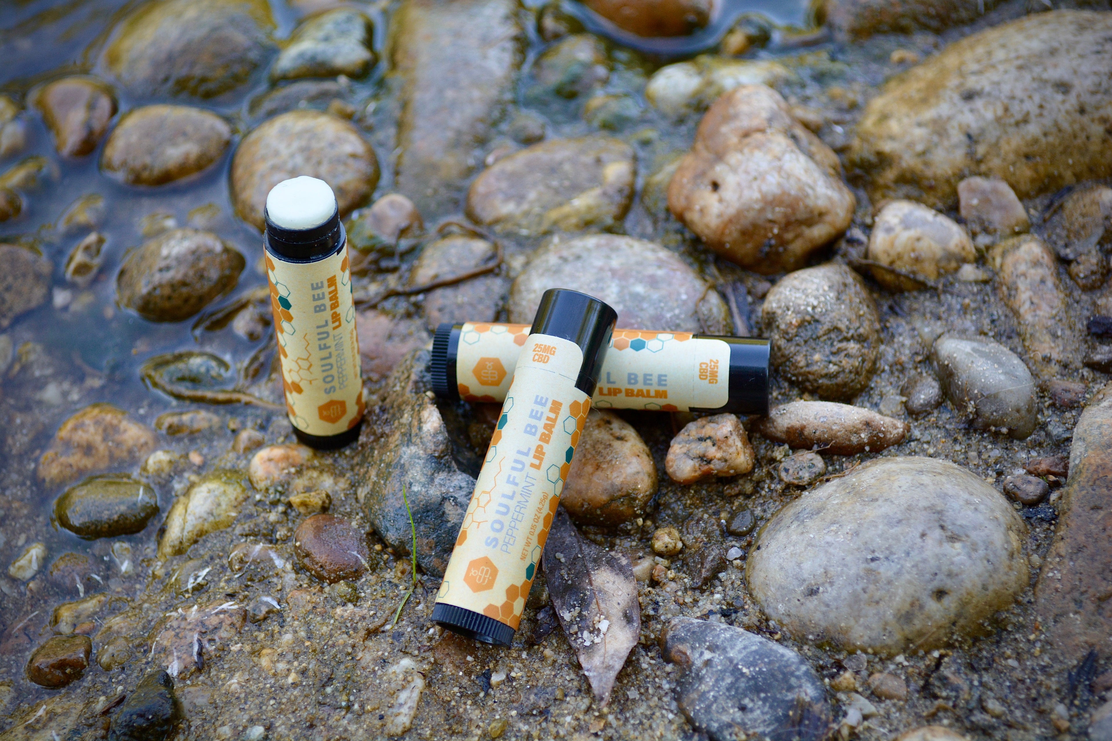 LIP BALM
