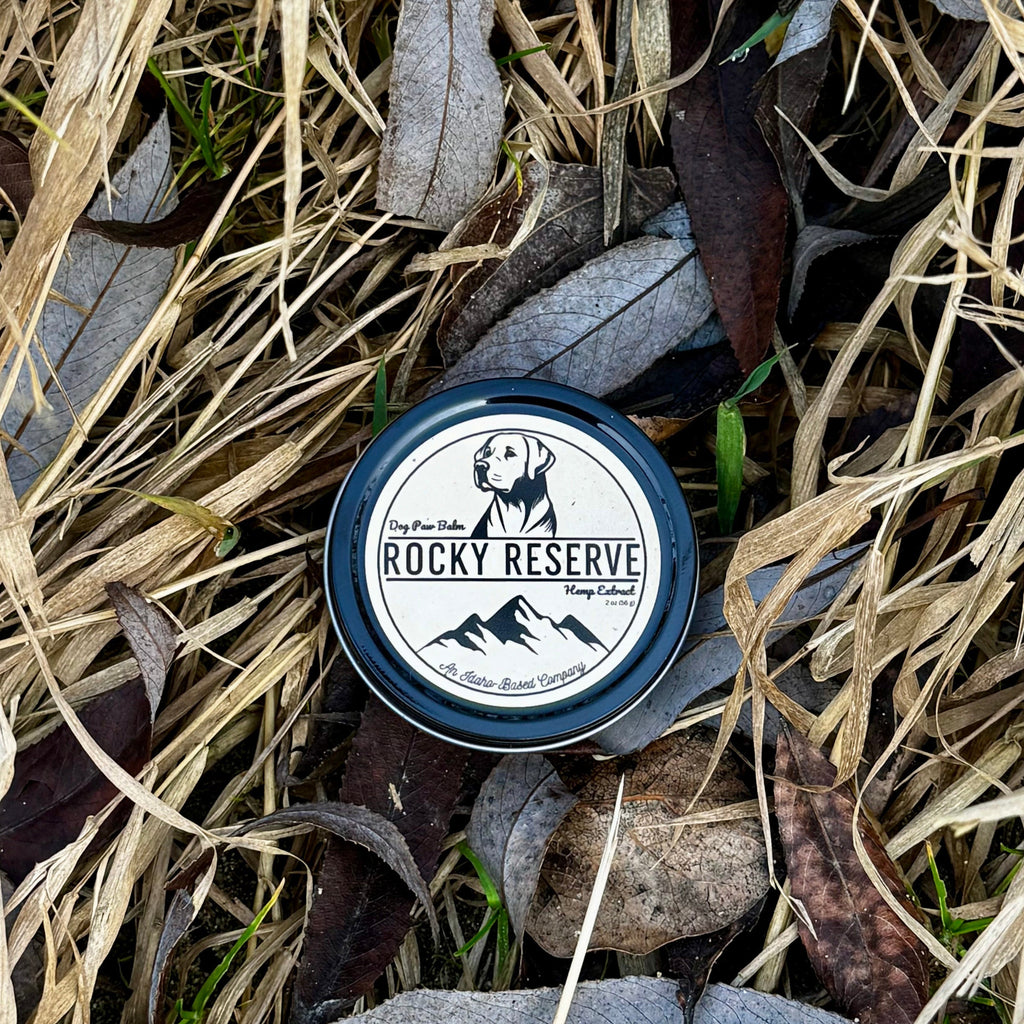 Rocky Reserve container on dry grass and leaves