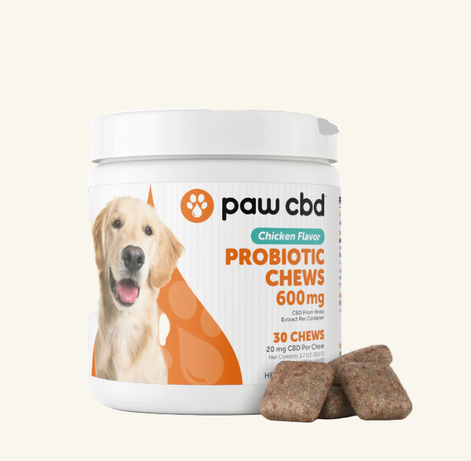 CBD Pet Probiotic Chews | Paw CBD